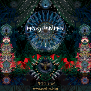 Frohe Weihnachten by https://peelme.blog/